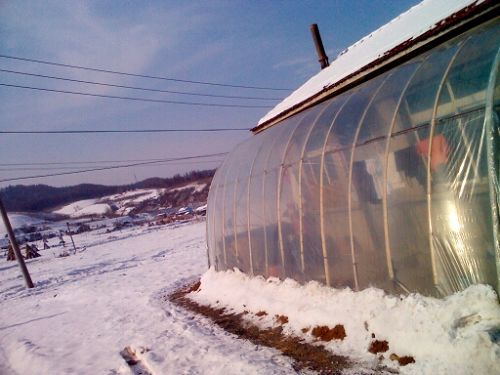 七十七歲老人居住的房屋