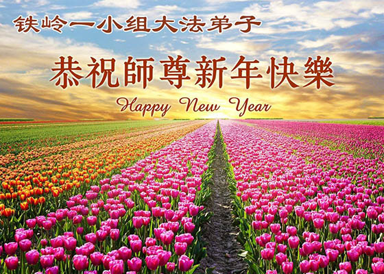 中國30省大法弟子恭祝師尊新年快樂