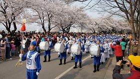 法輪功天國樂團十七日在輪中路櫻花節上表演