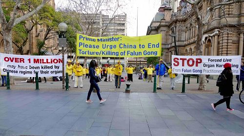 '圖1-3：澳洲法輪功學員發起「汽車之旅」反迫害活動，八月二十九日，在悉尼市政廳舉行了「汽車之旅」啟程的新聞發布會，呼籲民眾關注中共迫害法輪功，活摘法輪功學員器官的罪惡，共同制止。'